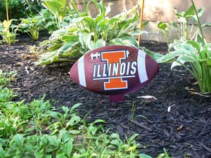12X11 DOUBLE SIDED IL FOOTBALL POT STAKE 
